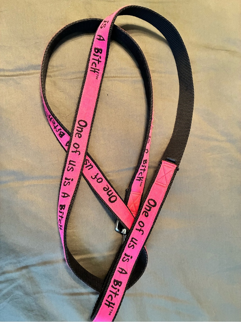 Pink & Black Pet Leash with 'One of Us is a Bi.ch' Text